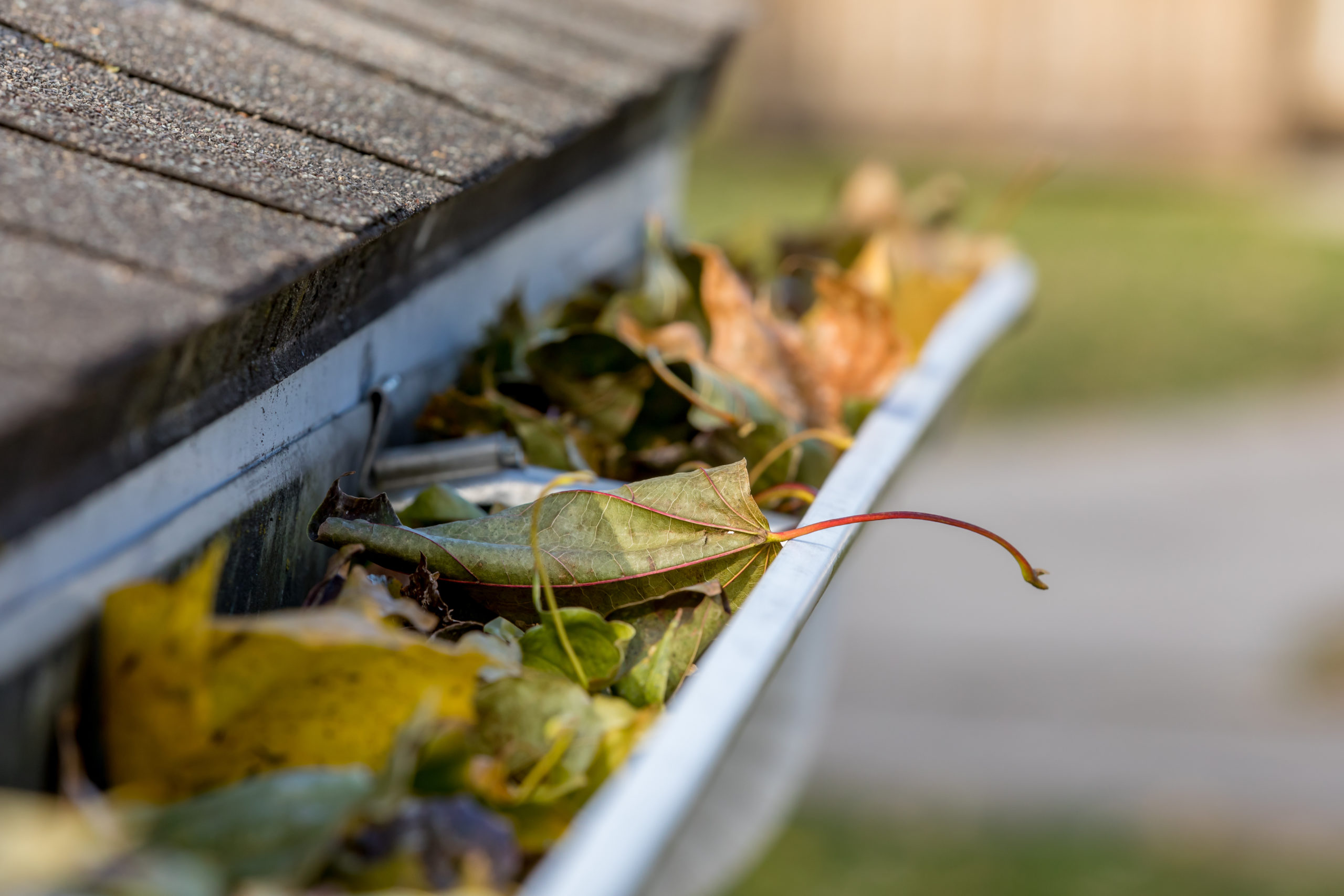 gutter companies